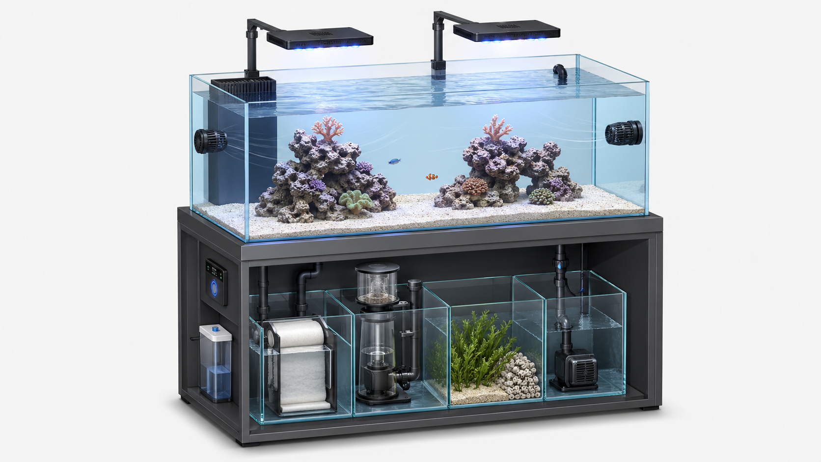 Illustrated reef aquarium build with display tank, sump, skimmer, lights, and flow pumps.